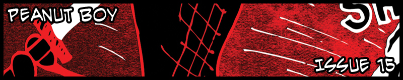 ISSUE 15